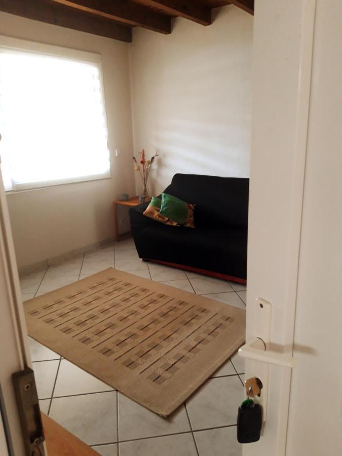 Duplex Le Cocon Apartamento Pins-Justaret Exterior foto
